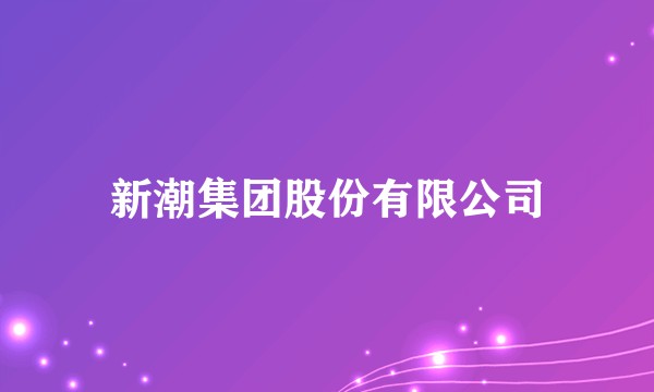 新潮集团股份有限公司