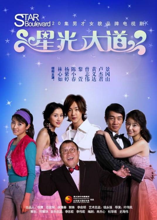 星光大道（2005年叶伟民执导电视剧）