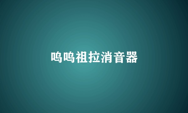呜呜祖拉消音器