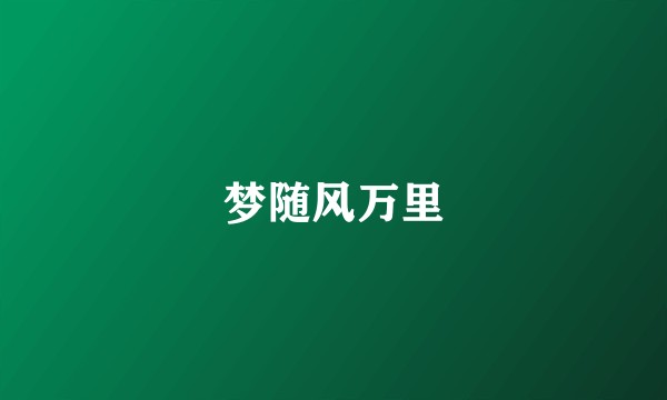 梦随风万里