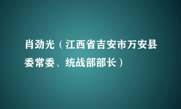 肖劲光（江西省吉安市万安县委常委、统战部部长）