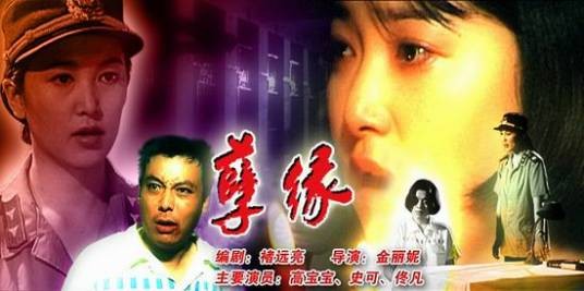 孽缘（1995年金丽妮执导的电影）