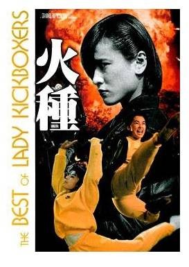 火种（1993年陈鎏、鲁俊谷执导的动作电影）