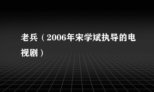 老兵(2006年宋学斌执导的电视剧)