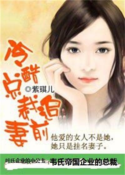 冷酷总裁追前妻