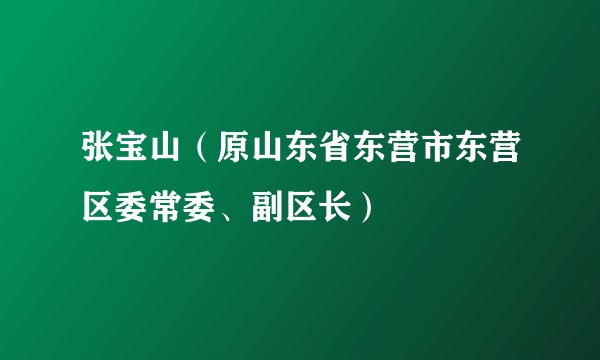 张宝山（原山东省东营市东营区委常委、副区长）