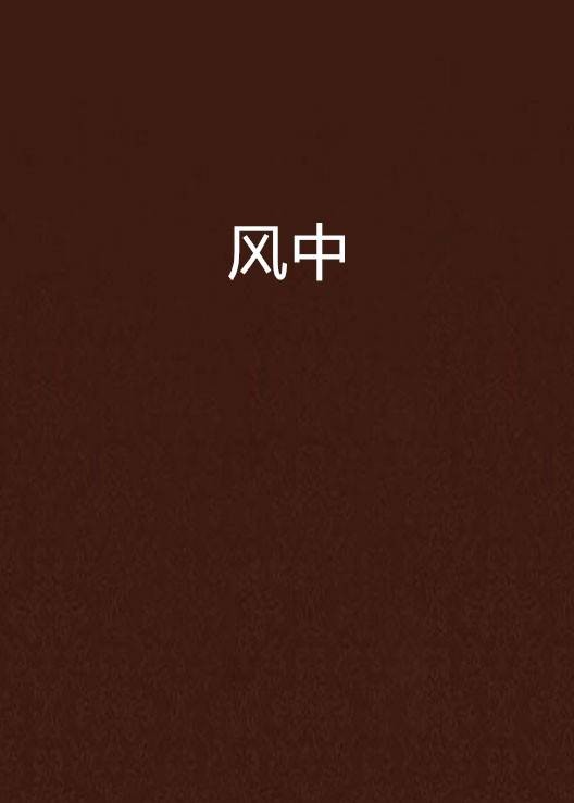 风中(零点计划所著小说)