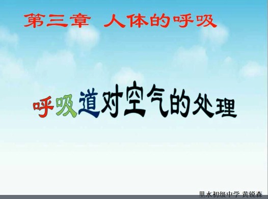 呼吸道对空气的处理