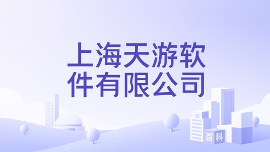 上海天游软件有限公司