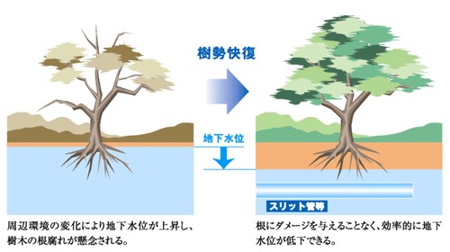 地下水位高