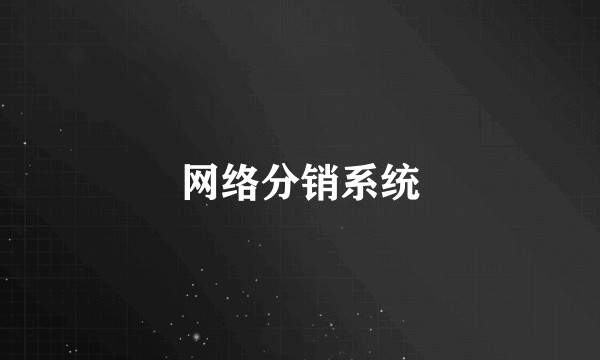 网络分销系统