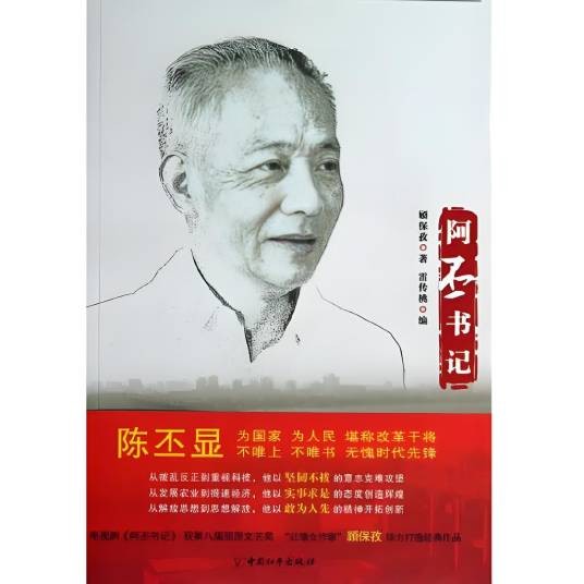 阿丕书记（2013年中国和平出版社出版的图书）