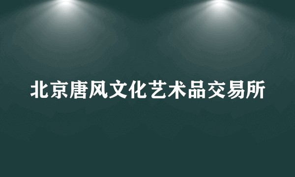 北京唐风文化艺术品交易所