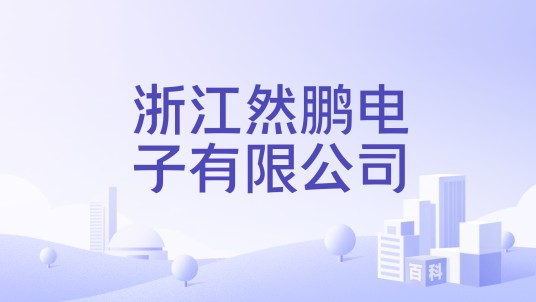 浙江然鹏电子有限公司