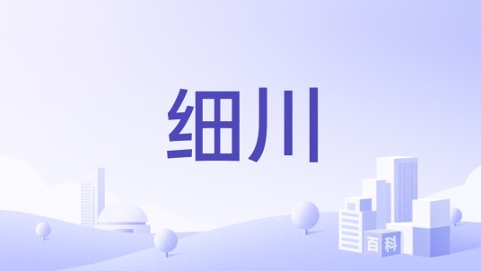 细川(纺织服装品牌)