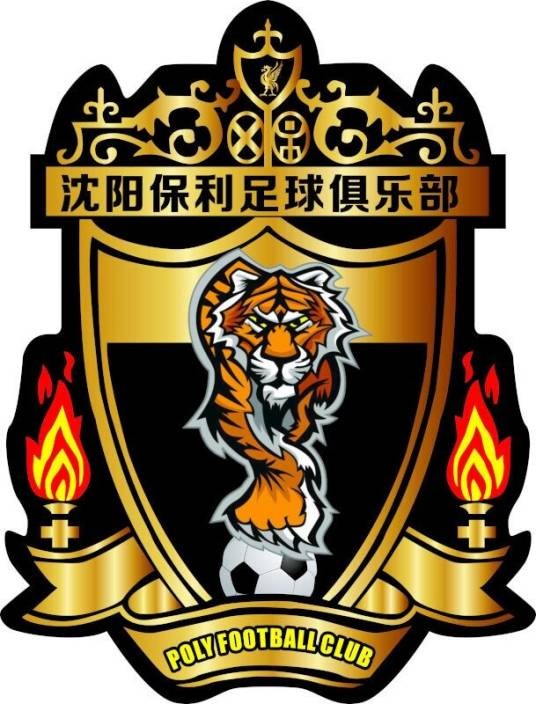 沈阳保利足球俱乐部