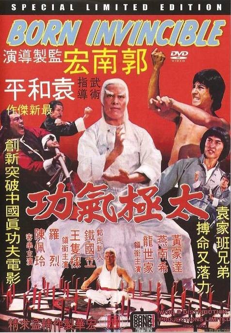 太极气功（1978年郭南宏执导的动作电影）
