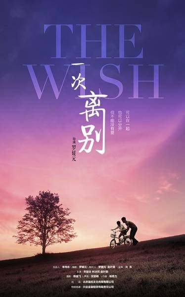 一次离别（2016年罗媛元执导的社会伦理类微电影）