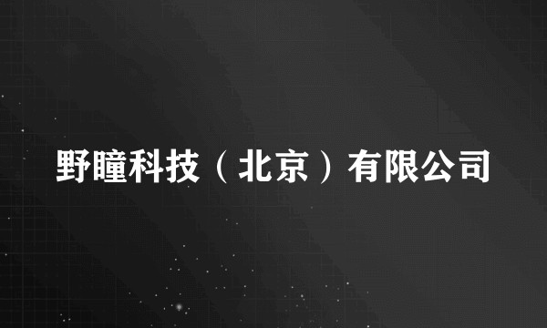 野瞳科技（北京）有限公司