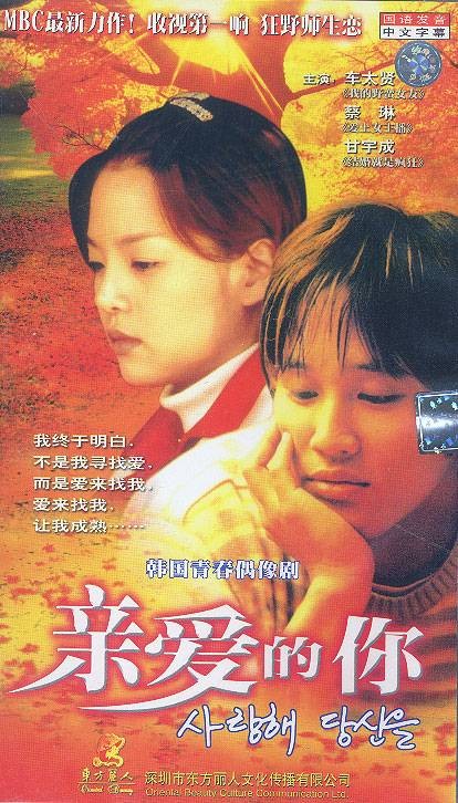 亲爱的你(韩国1999年李振石执导的电视剧)