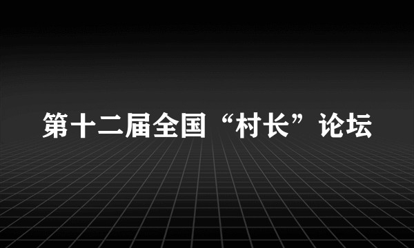 第十二届全国“村长”论坛