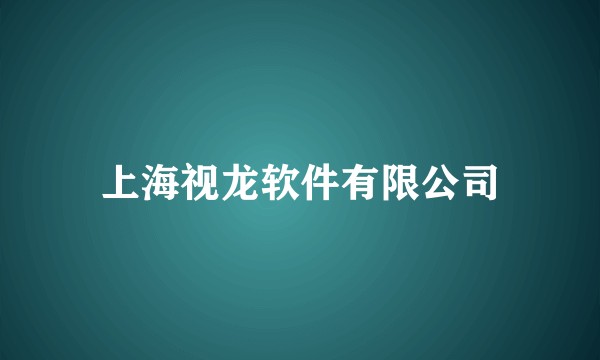 上海视龙软件有限公司