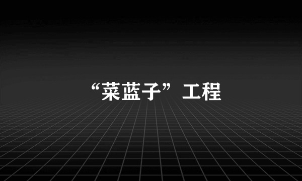 “菜蓝子”工程