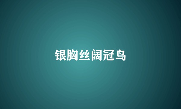 银胸丝阔冠鸟