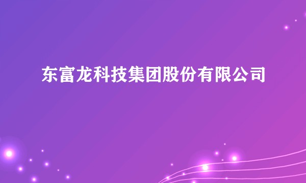 东富龙科技集团股份有限公司