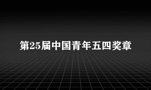 第25届中国青年五四奖章