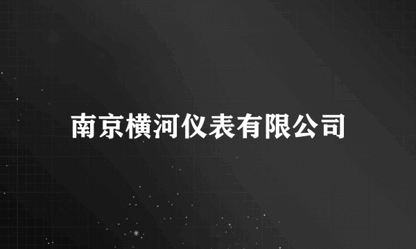 南京横河仪表有限公司