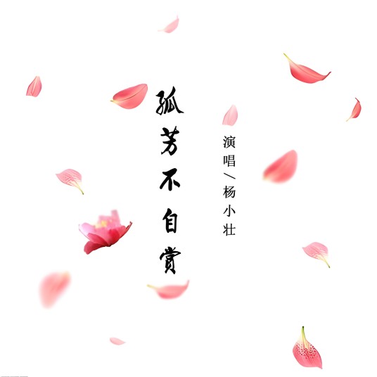 孤芳不自赏（杨小壮创作并演唱的歌曲）
