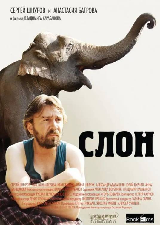 大象（俄罗斯2010年Vladimir Karabanov执导的电影）