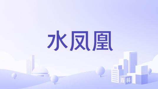 水凤凰（是水凤凰设计有限公司名下品牌）