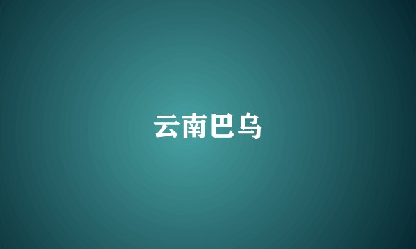 云南巴乌