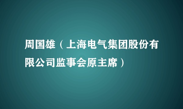 周国雄（上海电气集团股份有限公司监事会原主席）