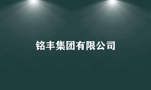 铭丰集团有限公司