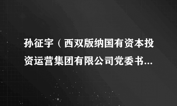 孙征宇（西双版纳国有资本投资运营集团有限公司党委书记、董事长）