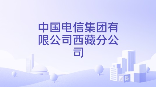 中国电信集团有限公司西藏分公司