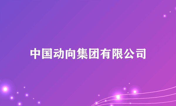 中国动向集团有限公司