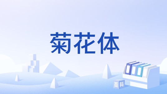 菊花体