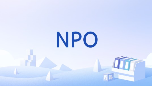 NPO（禁止口服摄入的医学术语）