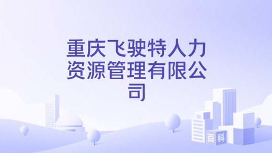 重庆飞驶特人力资源管理有限公司