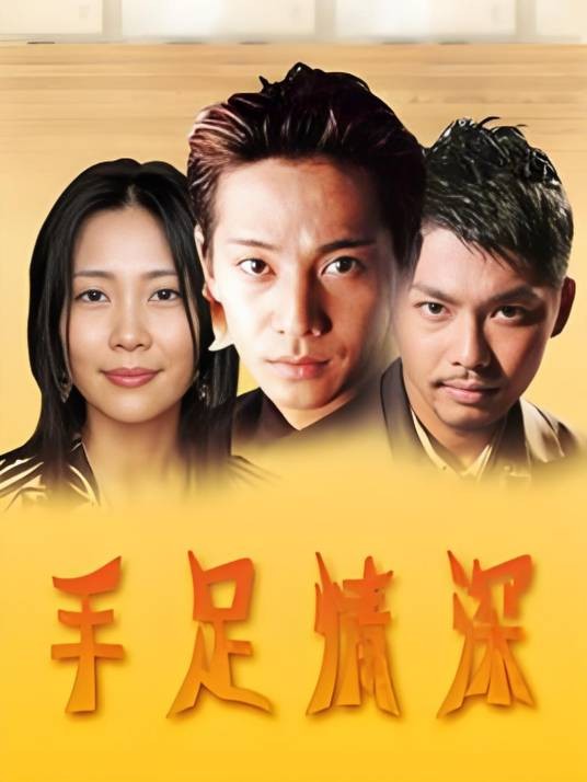 手足情深（1998年中居正广主演电视剧）