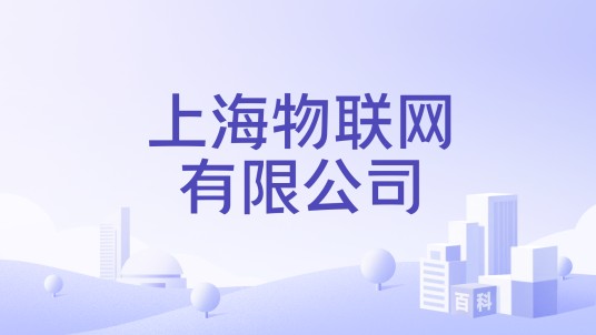 上海物联网有限公司