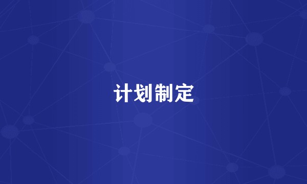 计划制定