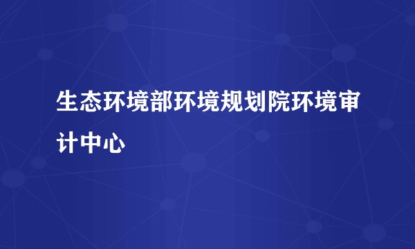 生态环境部环境规划院环境审计中心