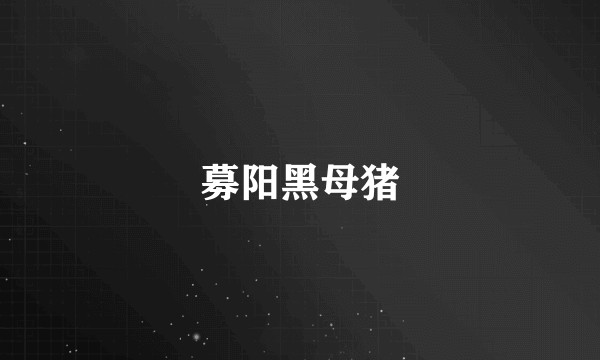 募阳黑母猪