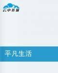 平凡生活（许圣华创作的都市生活类小说）