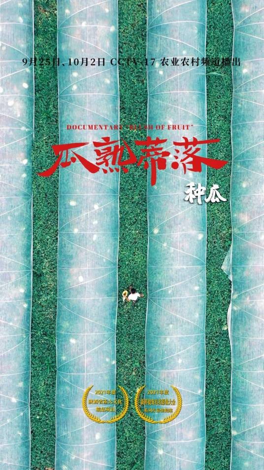瓜熟蒂落（2021年宋满朝执导的纪录片）